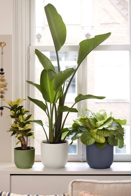 vibes fold rund 16cm leinenweiß